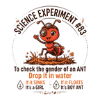 Boy Ant