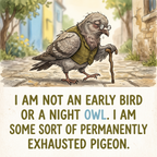 Lazy Pigeon